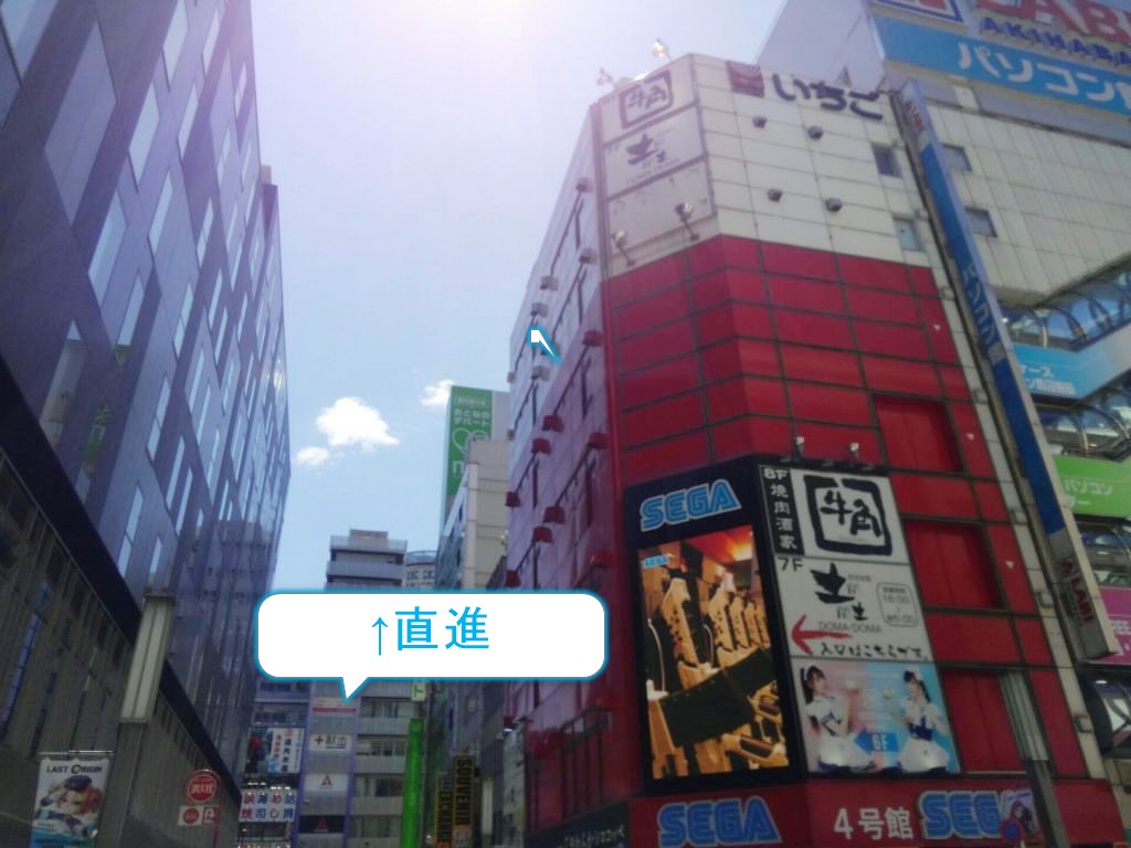 秋葉原 ブルセラ